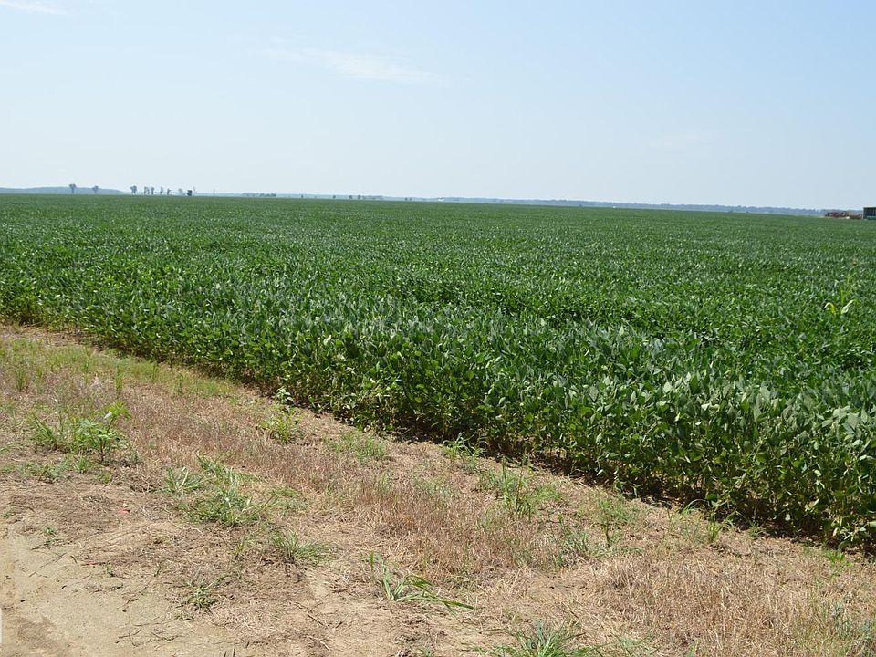 2nd image of 78 Highway 49