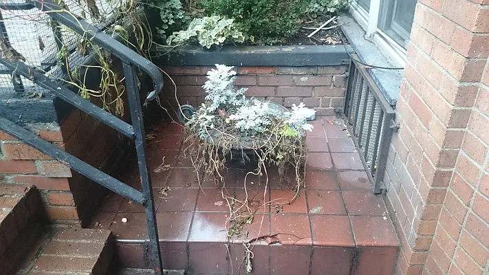 Rented by Sky Management | media 48