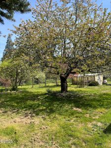 43 Trapp Creek Rd, Toledo, OR, 97391