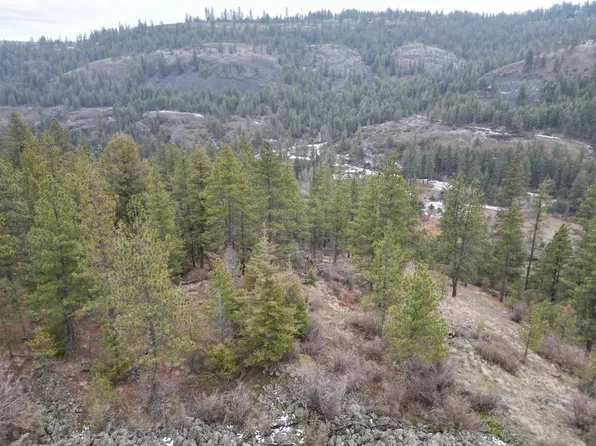 33055 Hawk Creek Ranch Rd N, Davenport, WA 99122