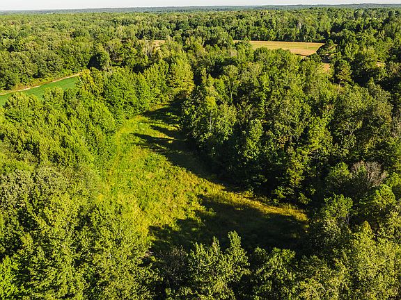 5th image of 4201 Austin Springs Rd N