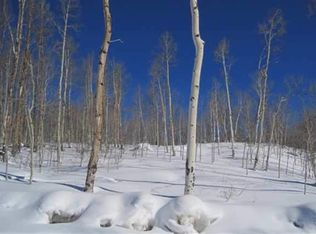 195 Gloria Pl, Crested Butte, CO 81224