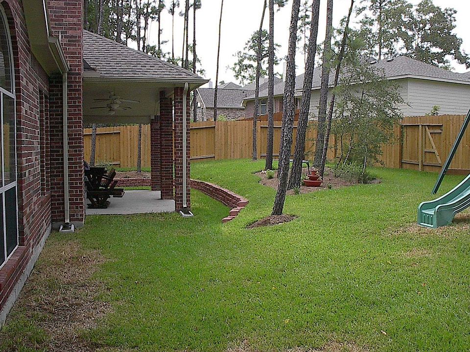 Back yard