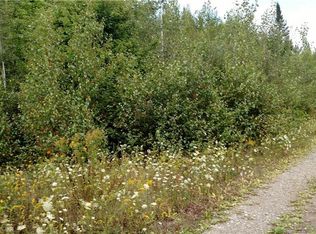 LOT 3 Off Route 116 LOT 3, Howland, ME 04448