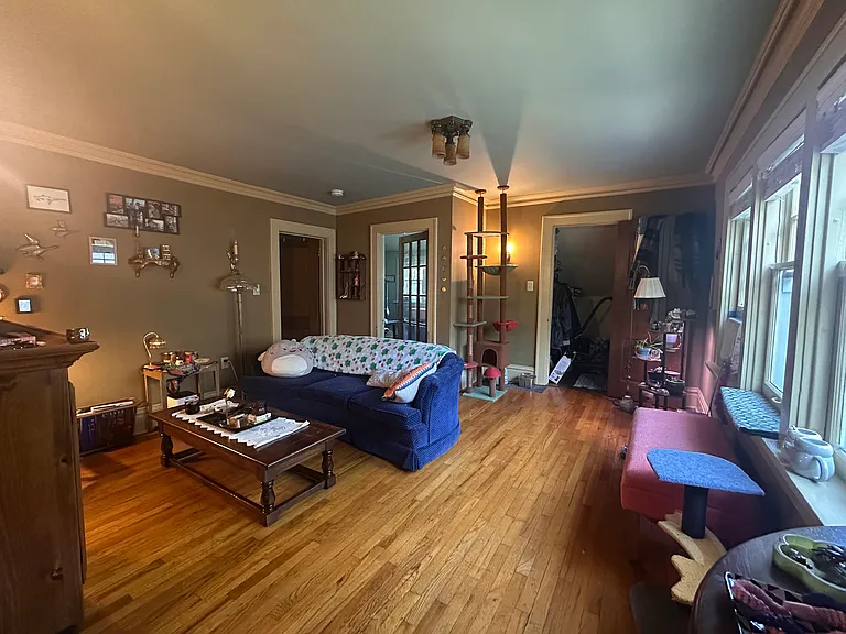 Living room with second wall-in closet.