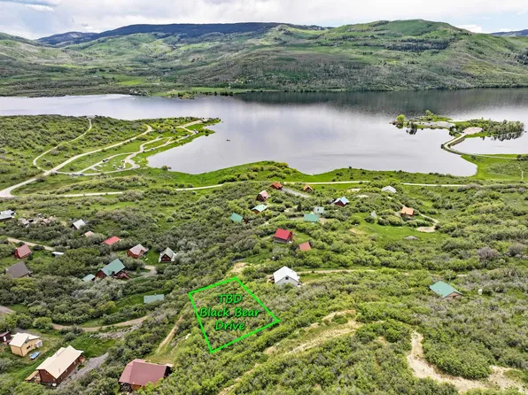 Tbd Black Bear Dr, Collbran, CO 81624