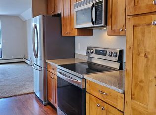 1321 Vine St #1321, Aspen, CO 81611