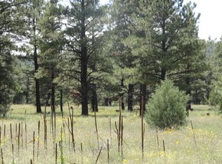 Parcel #2700541064, Grants, NM 87020