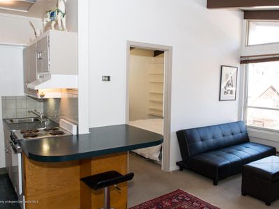 700 W Hopkins Ave #15, Aspen, CO, 81611