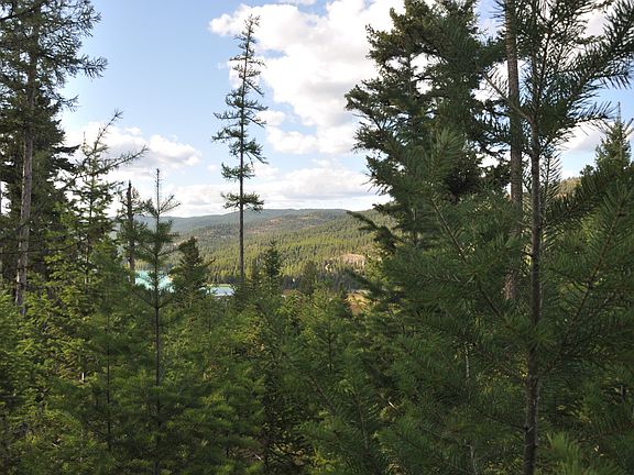 3rd image of Nhn Golden Larch Dr