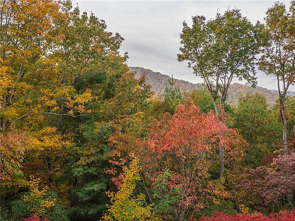 3rd image of 1239 McElroy Mountain Dr