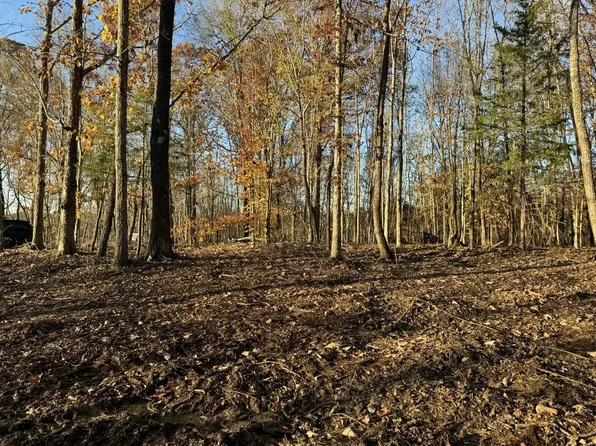 260 Lineport Rd, Bumpus Mills, TN 37028