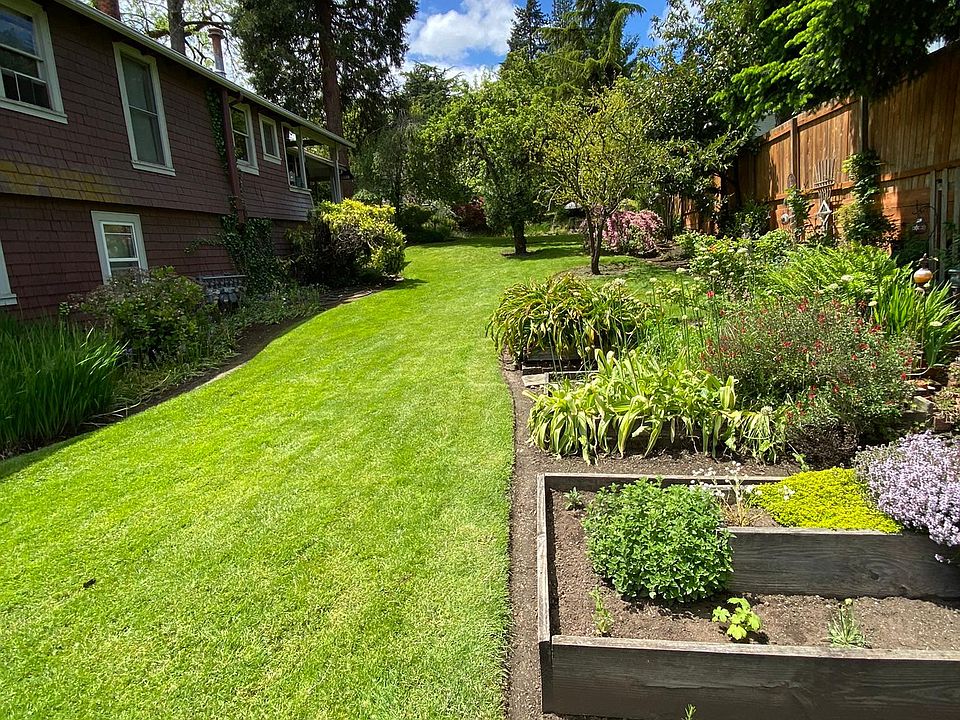 back yard