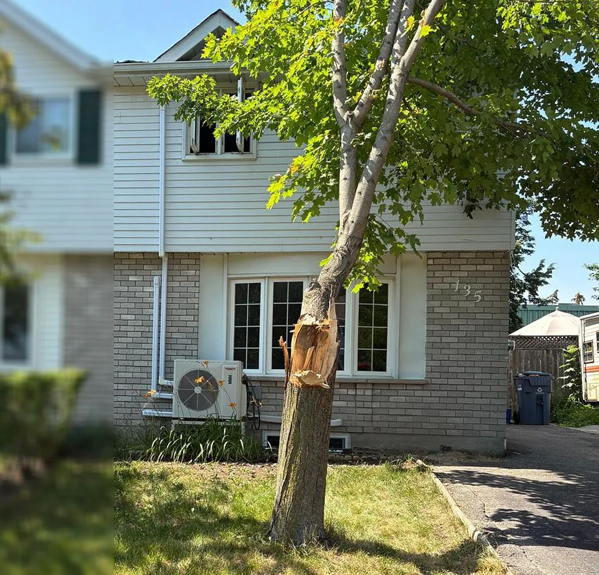 3 bed, $3,500 — Photo 1