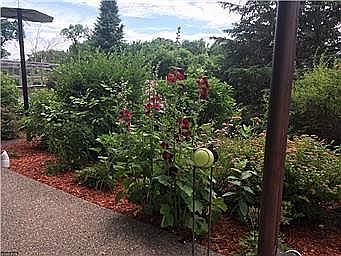 Flower Garden