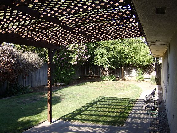 back yard