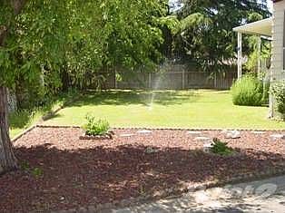 Live Oak 017