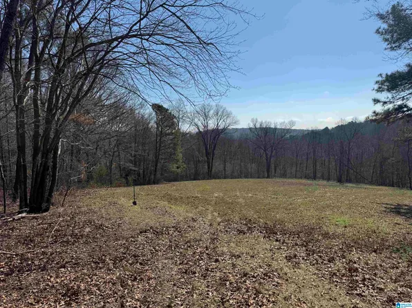 0 County Road 57 #0, Fort Payne, AL 35967