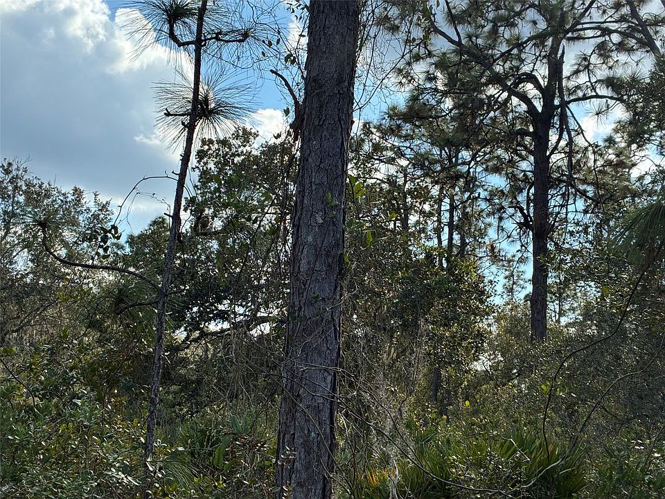 1st image of Lot 21 & 22 Plumosa Drive