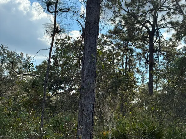 Lot 21 & 22 Plumosa Drive, Indian Lake Estates, FL