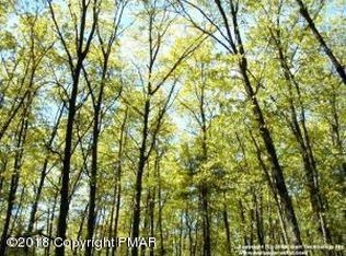 Broad Mountain View Dr, Jim Thorpe, PA 18229