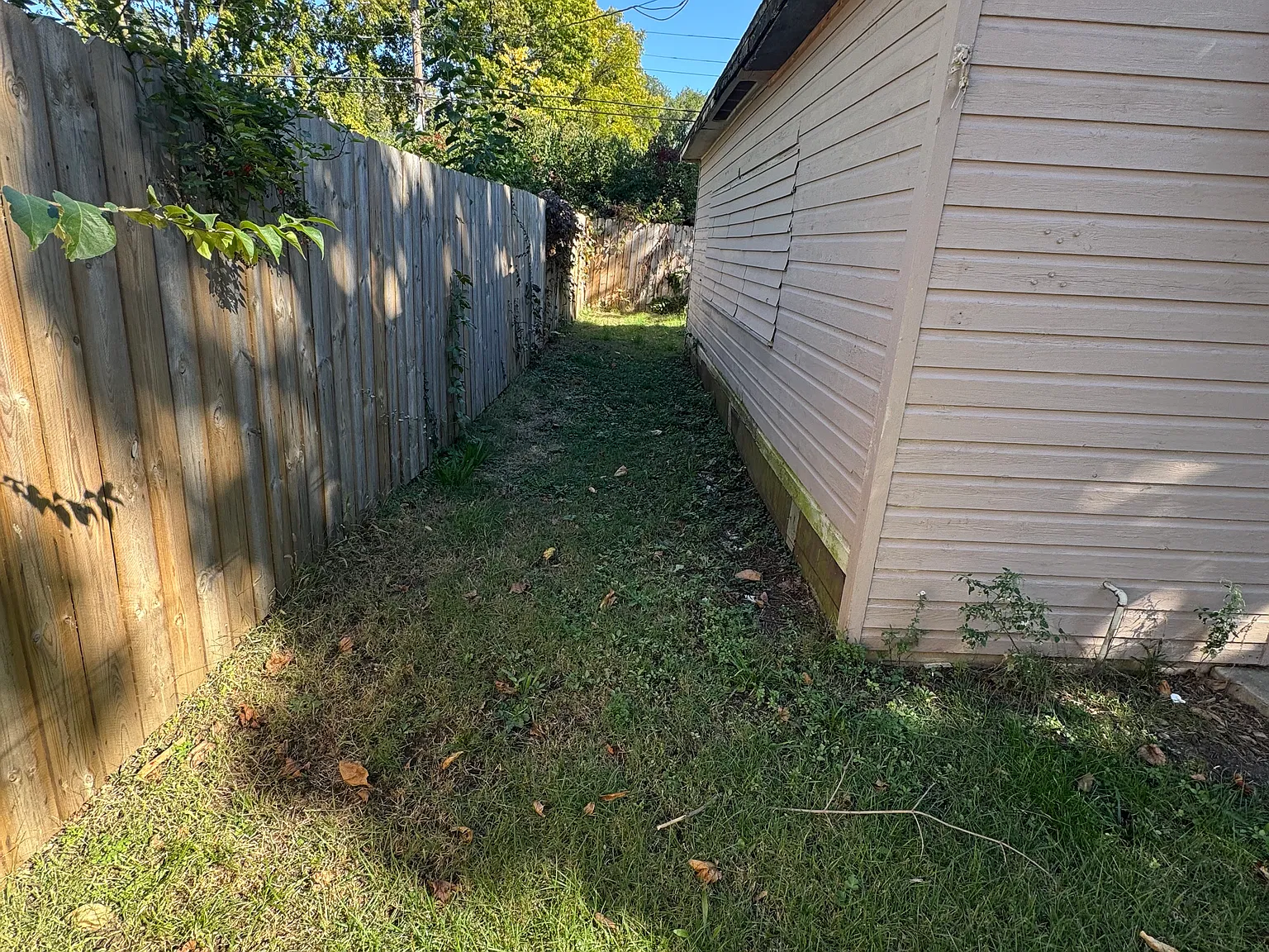 4 bed, 1328 sqft, $2,000 — Photo 4