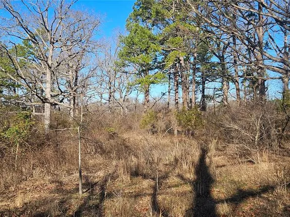 0 County Road 4160, Salem, MO 65560