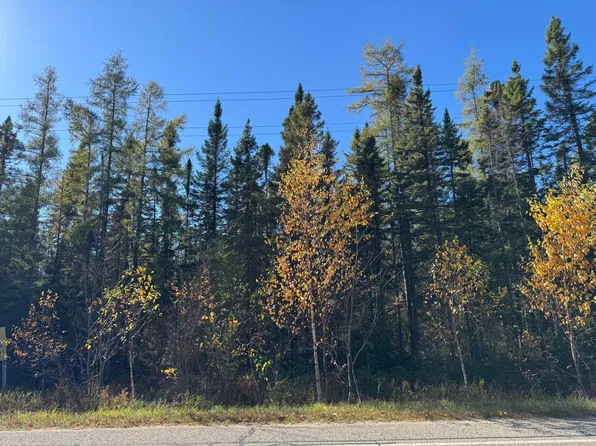 11401 N Whitefish Point Rd, Paradise, MI 49768