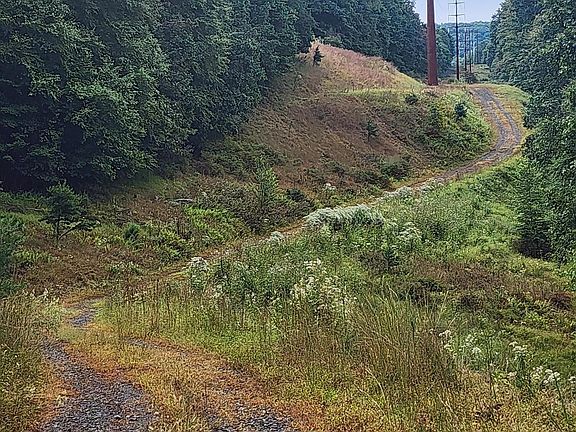 4th image of Mountain Rd