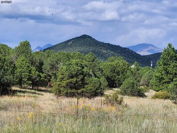 1326 R Path, Cotopaxi, CO 81223