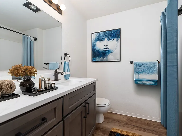Experience the elegance of a beautifully styled bathroom offering a serene retreat. Experience the elegance of a beautifully styled bathroom offering a serene retreat.