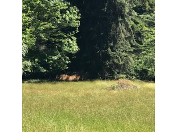 4th image of 4149 Laray Ln