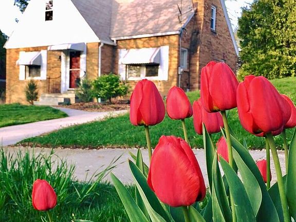 210 Baynton NE, May photo