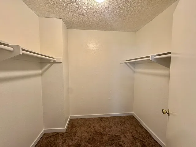 4164 Mount Alifan Pl #F — Photo 15
