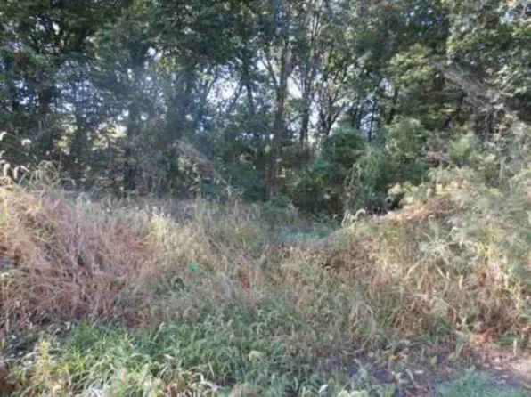 SE Old Frame Rd, Dearborn, MO 64439