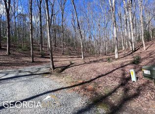 LOT 22 E Gold Mine Rd, Ellijay, GA 30536