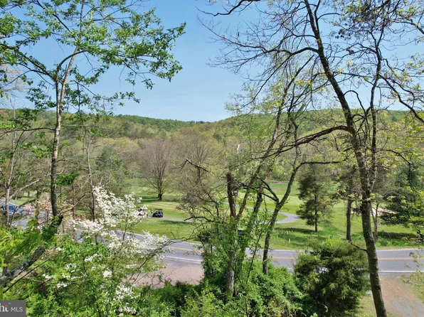 343 Resort Dr, Basye, VA 22810