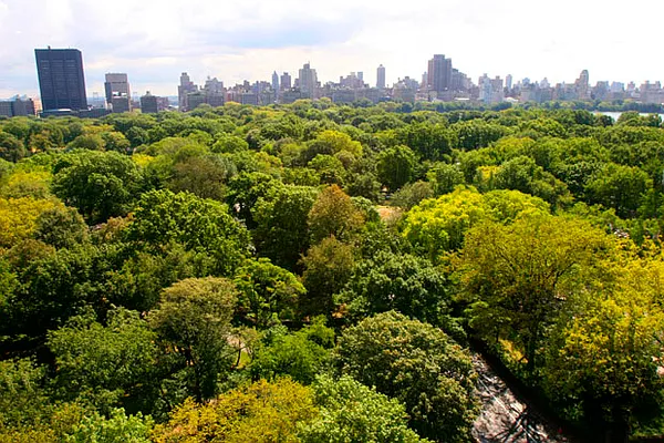 Sold by Rand Realty NY | media 1