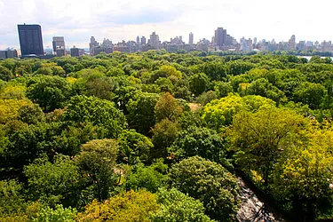 Sold by Rand Realty NY