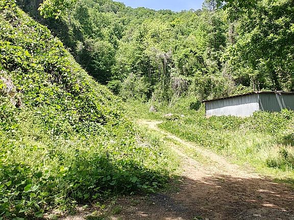 3rd image of 206 Caney Creek Rd