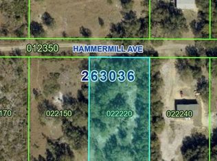 HAMMERMILL AVENUE LOT 588, LAKE WALES, FL 33859