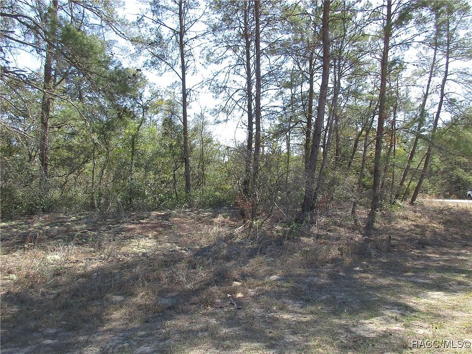 1st image of 4381 W Malaluka Cir