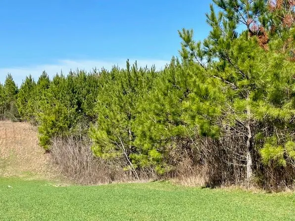 0 Archie Boyd Rd, Summit, MS 39666