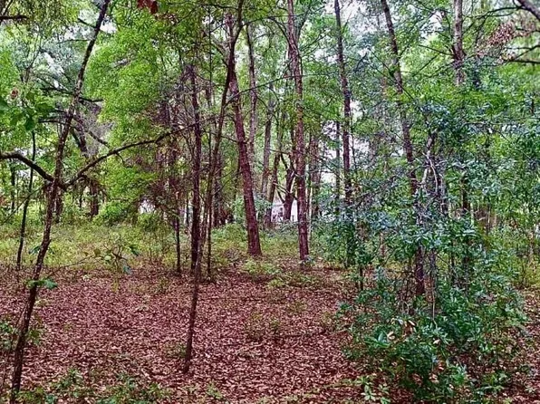 LOT 13 EVANS Avenue, Interlachen, FL 32148