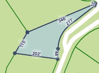 0 Buena Vista Rd LOT 1, Cosby, TN 37722