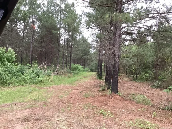 1935 Highway 24 E, Prescott, AR 71857