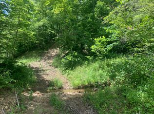 Fleming Fork Land, Olive Hill, KY 41164