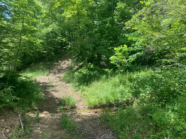 Fleming Fork Land, Olive Hill, KY 41164