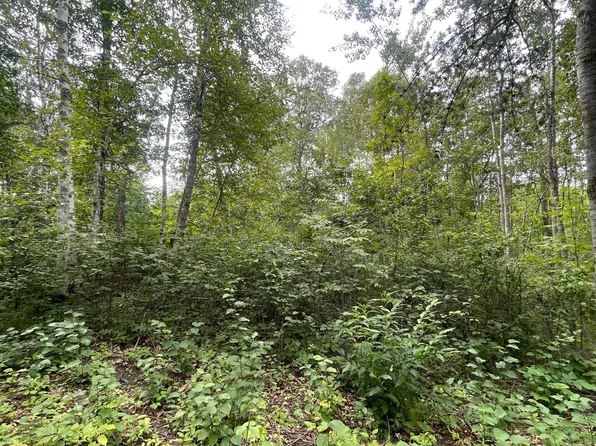 LOT 1 Patriot Ave, Pequot Lakes, MN 56472