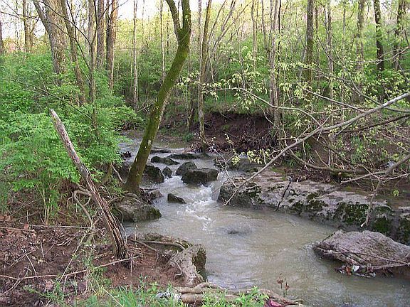Creek joins Back Yard.